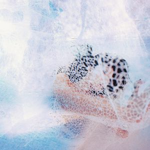 🔯黄🔯色🔯视🔯中
